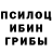 Галлюциногенные грибы GOLDEN TEACHER Manoela Klippel
