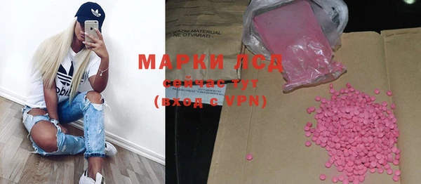 стафф Алзамай