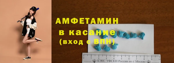стафф Алзамай