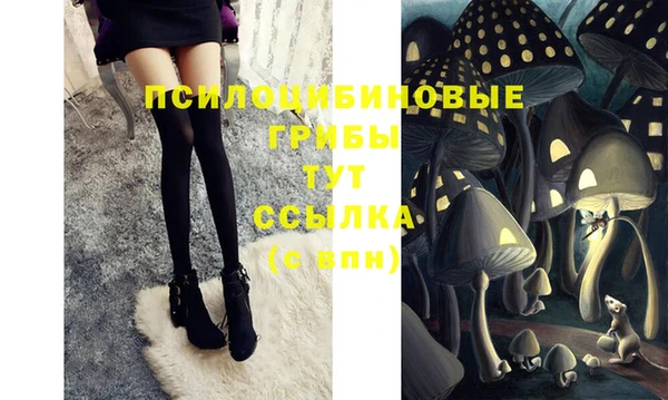 соль курить ск Алексеевка