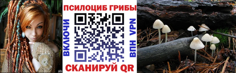 блэк спрут вход  закладка  Омутнинск  Псилоцибиновые грибы Psilocybine cubensis 