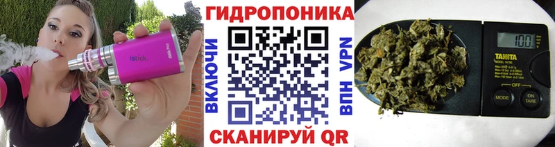 МАРИХУАНА сатива  Омутнинск 